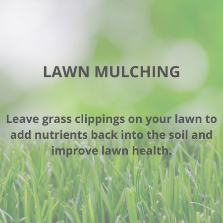 Lawn Mulching