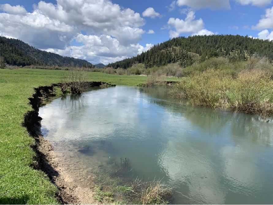 Image of Wolf Lodge Creek streambank erosion.