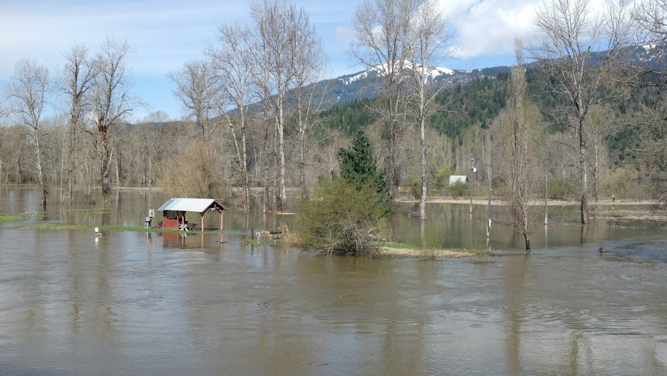 Image of the St. Joe River.