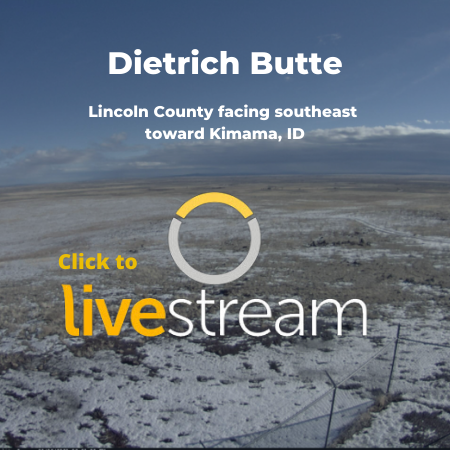 Dietrich Butte camera link
