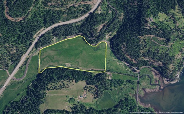 Areal image of Mica Creek floodplain.