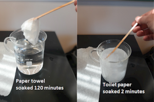 Image of a paper towel that has soaked in water for 120 minutes that is in contact. An image of toilet paper that has soaked for two minutes in water that has disolved.
