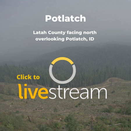 Potlach visibility camera link