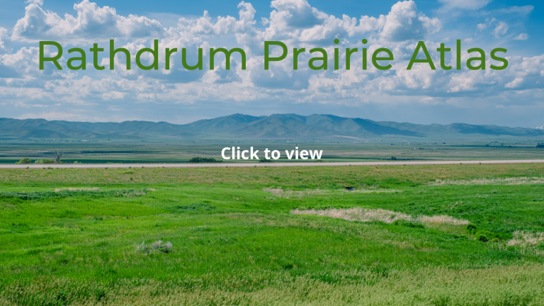 Click to see our Rathdrum Prairie Aquifer publication