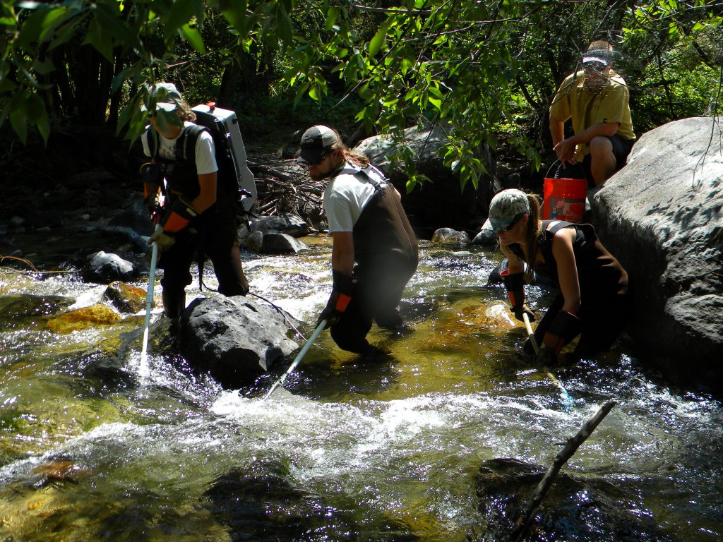 BURP Crew water quality monitoring