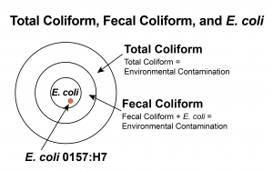 Total Coliform Circle Graphic: outer circle is total coliform, second layer is fecal coliform, and the core it E. coli