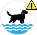 USE CAUTION: allowing animals in water