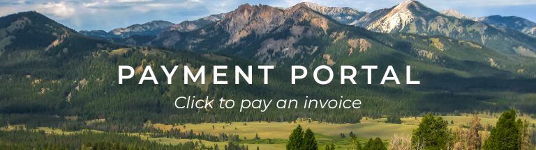 Payment Portal website button - click to pay an invoice